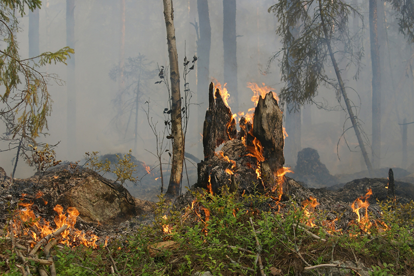 Rischio incendi boschivi Dipartimento della Protezione Civile