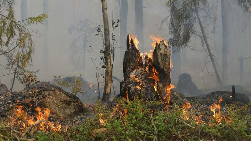 Rischio incendi boschivi